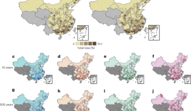 Stress-testing the cascading economic impacts of urban flooding across 306 Chinese cities