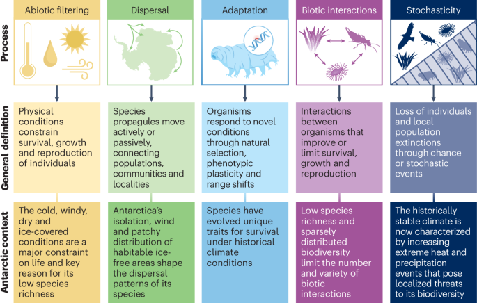Ecological processes shaping Antarctic terrestrial biodiversity change
