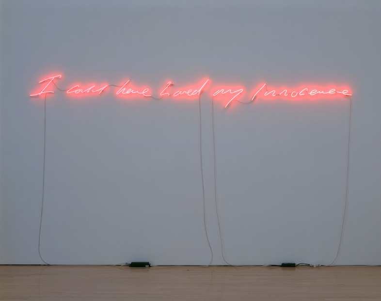 16. Tracey Emin, I could have Loved my Innocence 2
