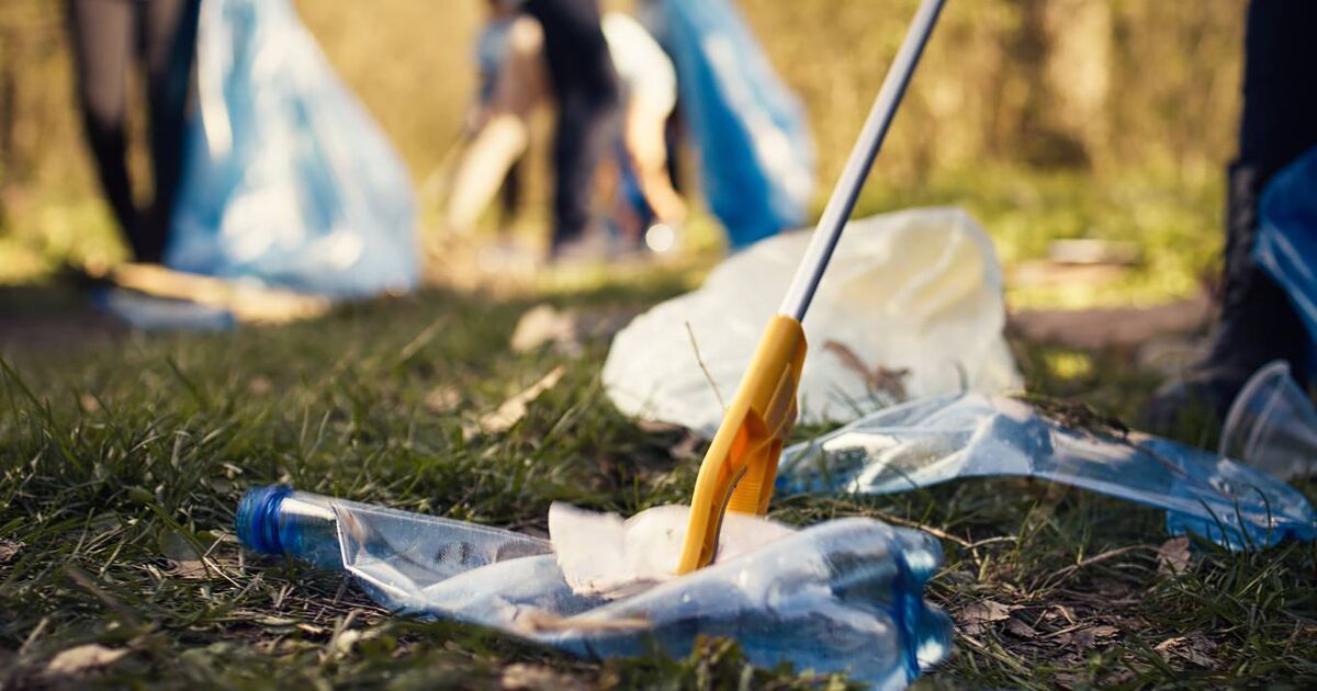 Call for people convicted of illegal dumping to do litter clean-ups following 'epidemic' in North Cork