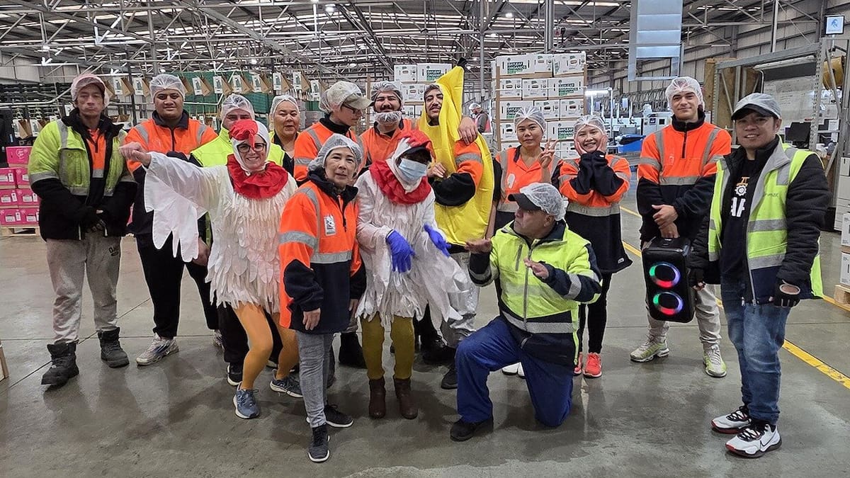 Year in review: Kiwi Crunch’s TikTok account goes viral, boosts workplace culture