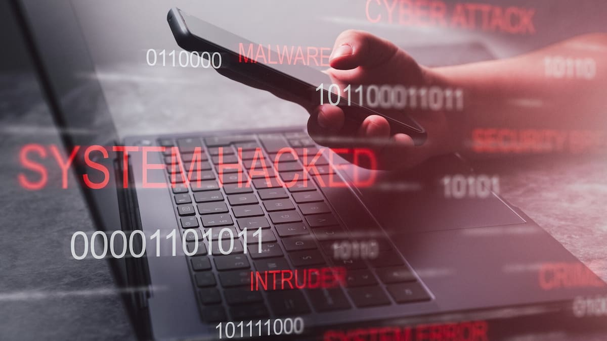Small businesses not exempt from cyber-attacks, internet watchdog Netsafe says