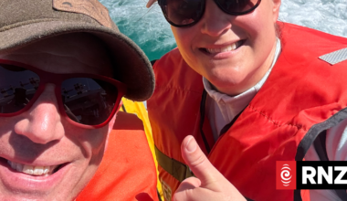 More than 40 rescued before tourist boat capsized at Akaroa