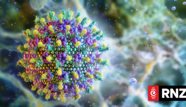 WHO sees low risk of Nipah virus spreading beyond India