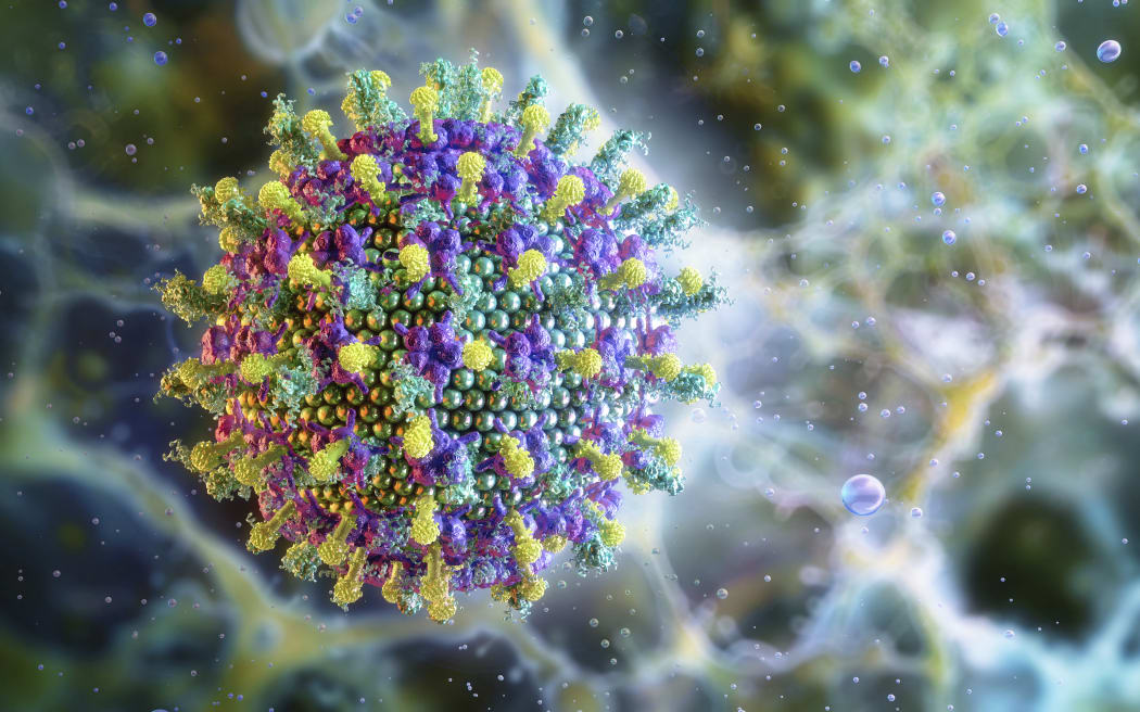 Illustration of a Nipah virus. (Photo by RUSLANAS BARANAUSKAS/SCIENCE PHO / RBU / Science Photo Library via AFP)