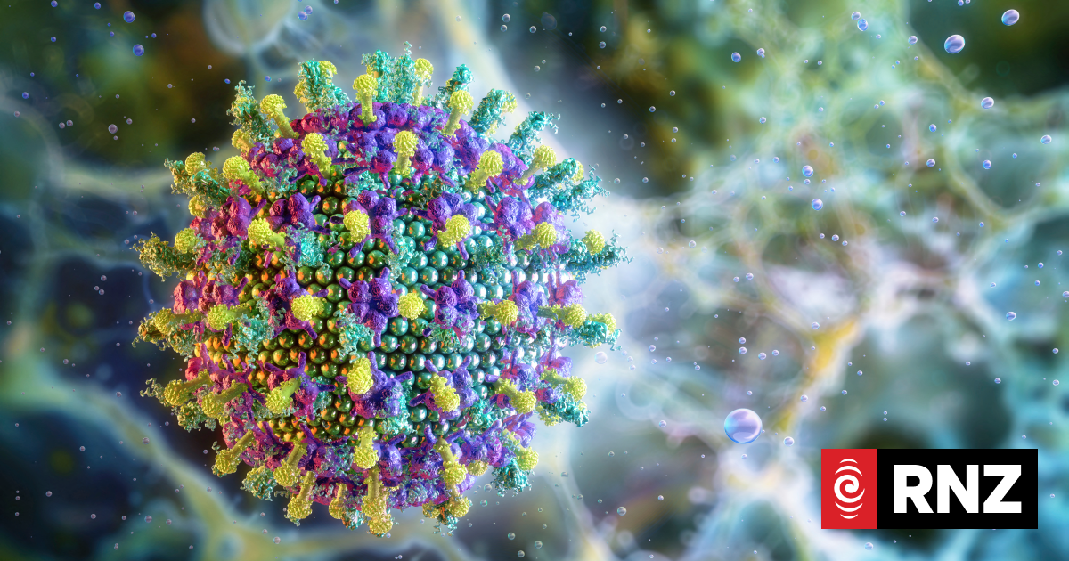 WHO sees low risk of Nipah virus spreading beyond India