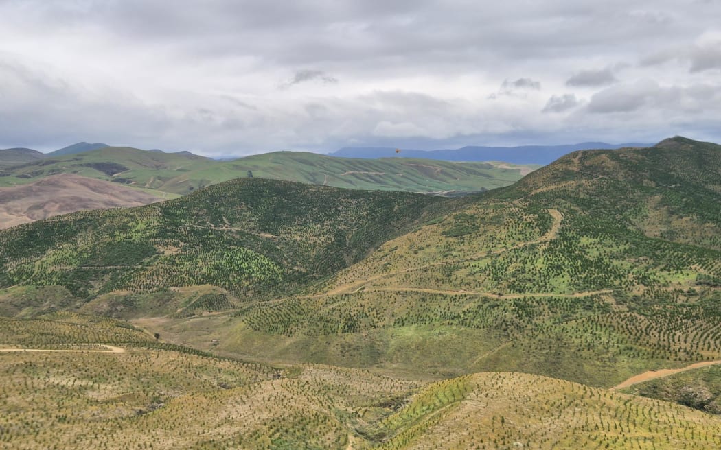More than 3300ha of the 5500ha former-station have been planted in a mix of exotic forestry.