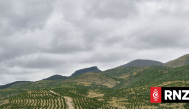 Country Life: IKEA owner's first New Zealand forest