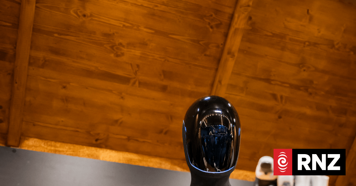 Elon Musk is betting Tesla's future isn't about cars at all