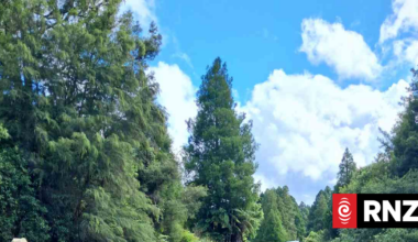 Bay of Plenty families remain isolated two weeks after Waioweka Gorge slips