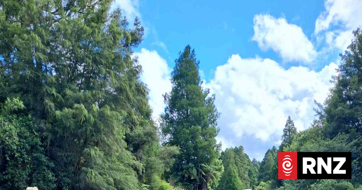 Bay of Plenty families remain isolated two weeks after Waioweka Gorge slips