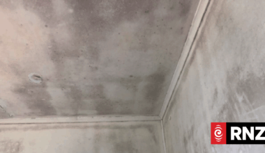 Landlord told to pay $60k in damages over 'cockroaches' and 'sewage'