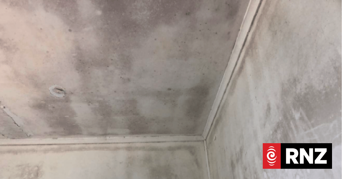 Landlord told to pay $60k in damages over 'cockroaches' and 'sewage'