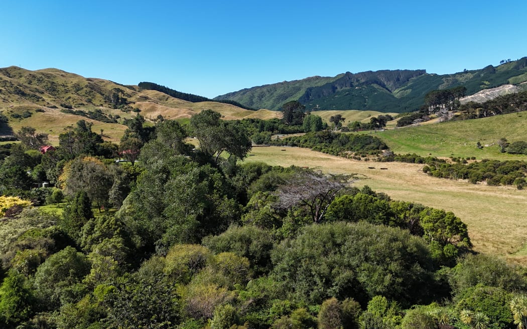 The area where a helicopter crashed on Wednesday, killing the pilot and the sole passenger.
