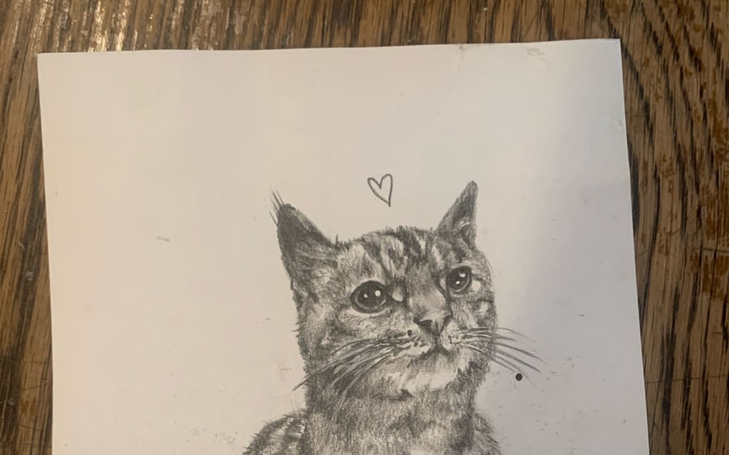 A drawing of Lola the cat by Josephine Brien.