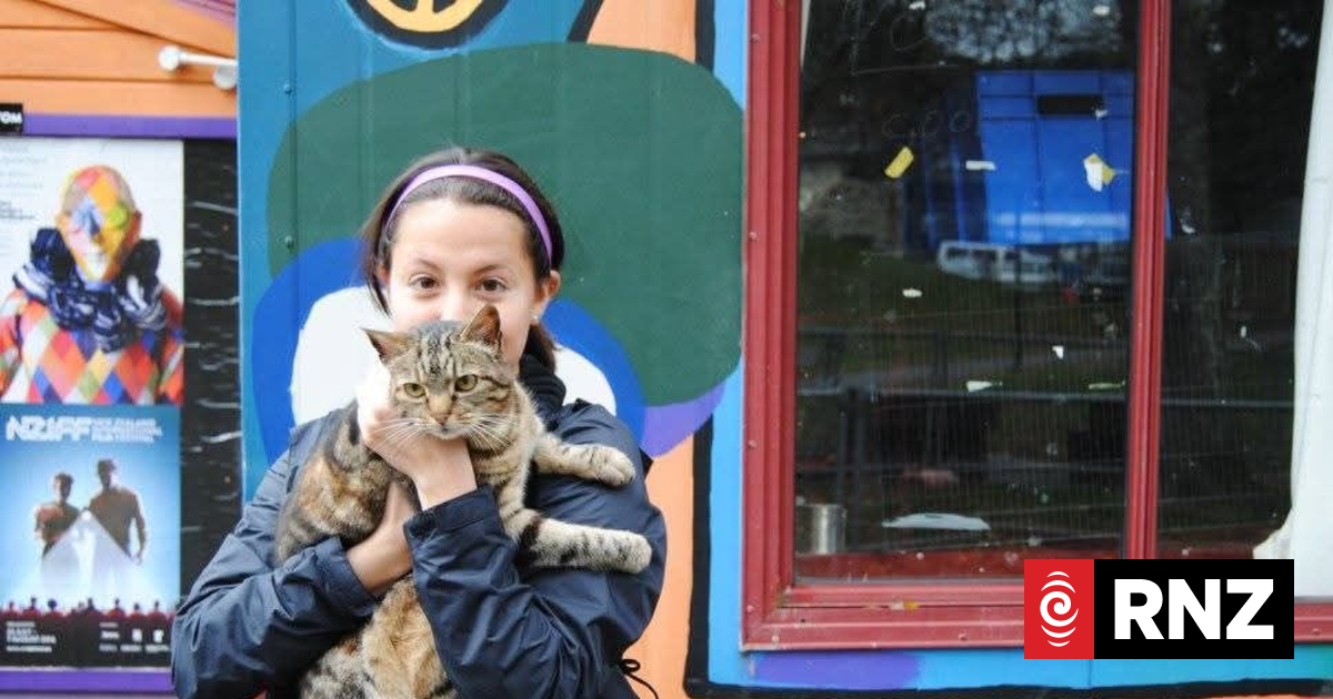 Tributes flow for Wellington's beloved Aro Park cat, Lola