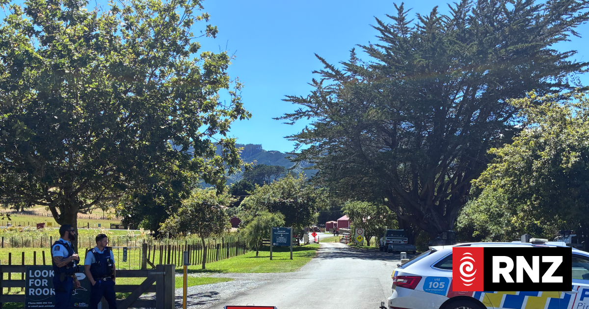 Emergency services rush to helicopter crash in Paekākāriki Hill