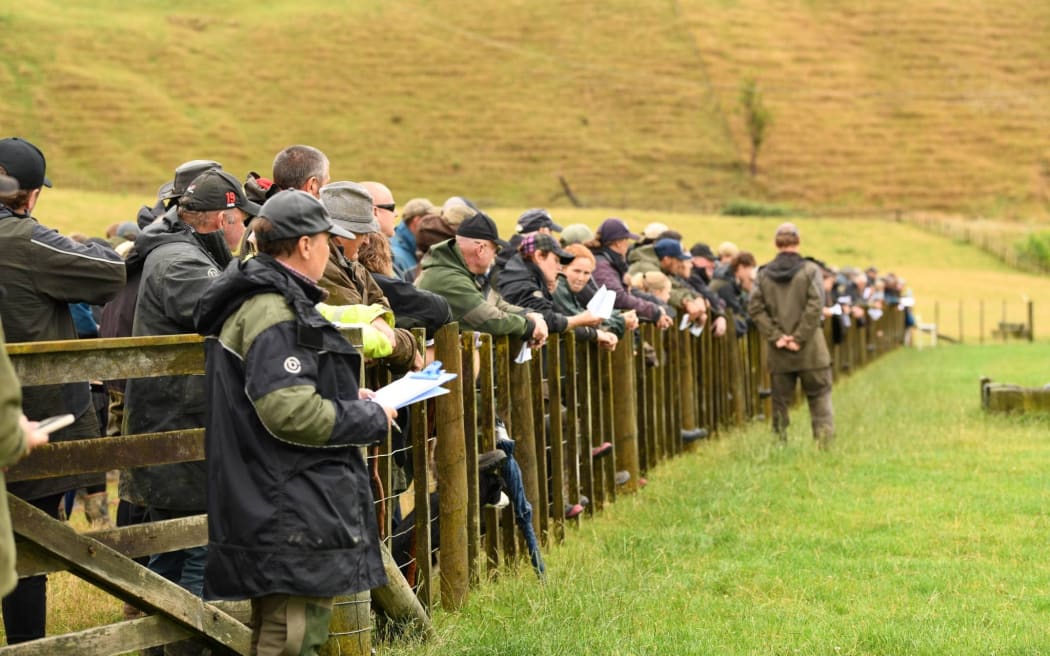 Farmers line up to see the working dogs at this year's Parapara-Makirikiri Sheep Dog Trial Club sale.