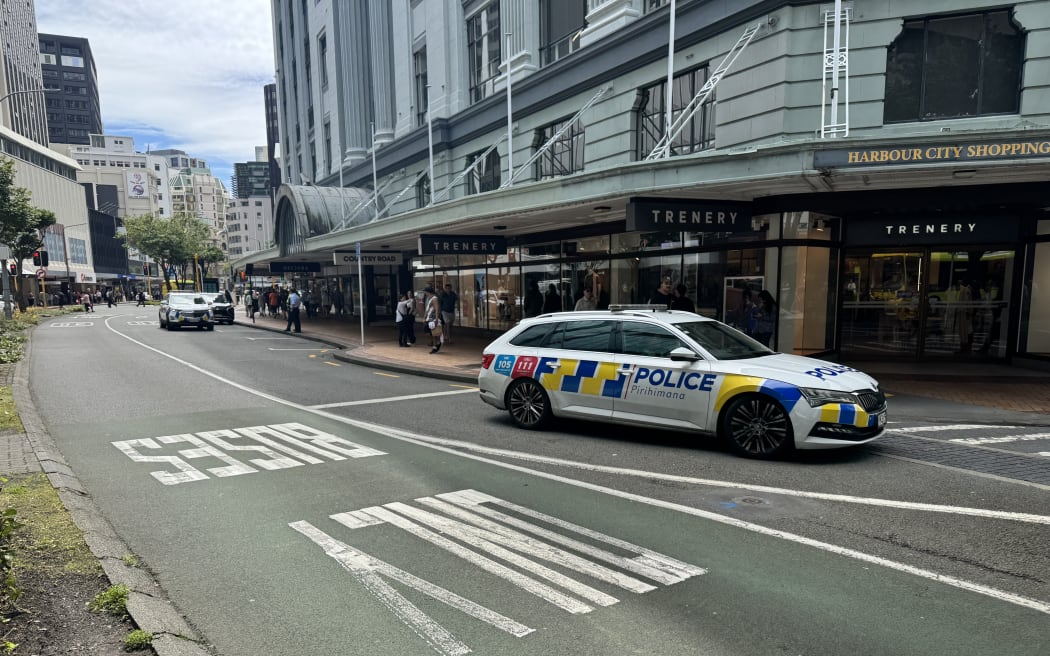 Police shut down part of Wellington's Lambton Quay after an "item of concern" was found.