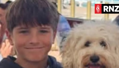 Nico Antic, 12yo boy attacked by shark at Sydney beach, dies in hospital