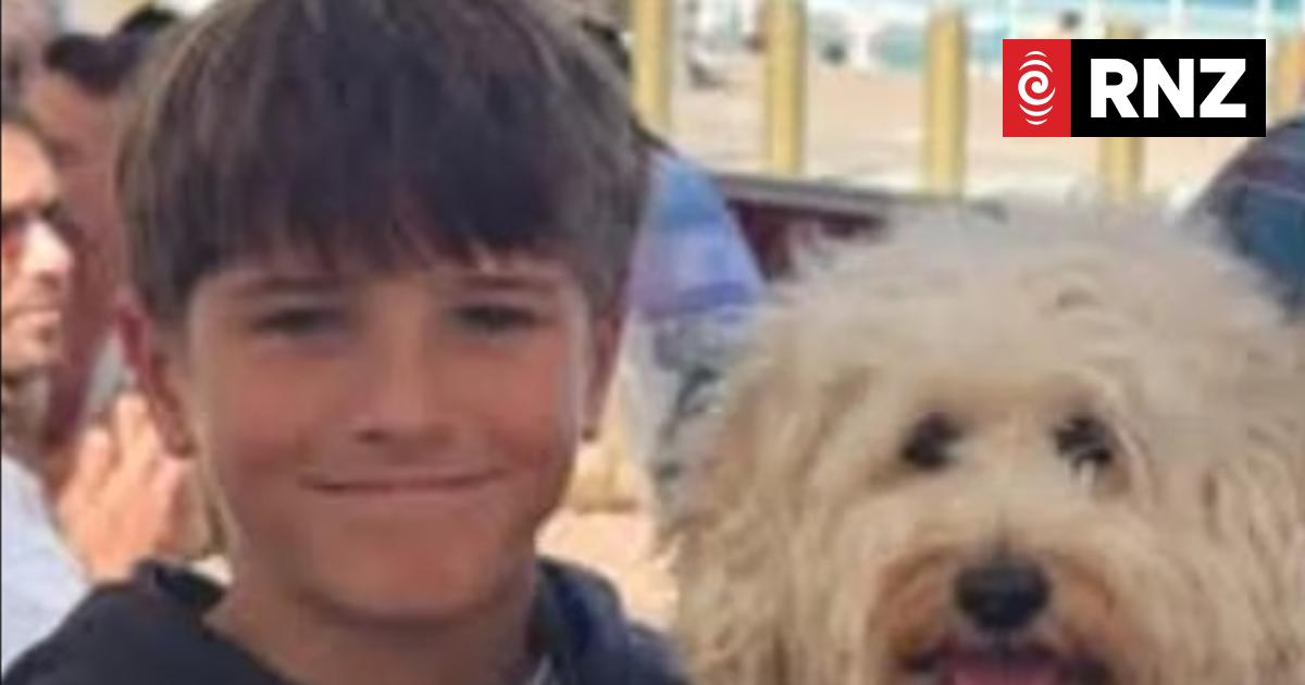 Nico Antic, 12yo boy attacked by shark at Sydney beach, dies in hospital