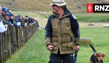 Elite working dogs fetch more than $300,000 in auction frenzy