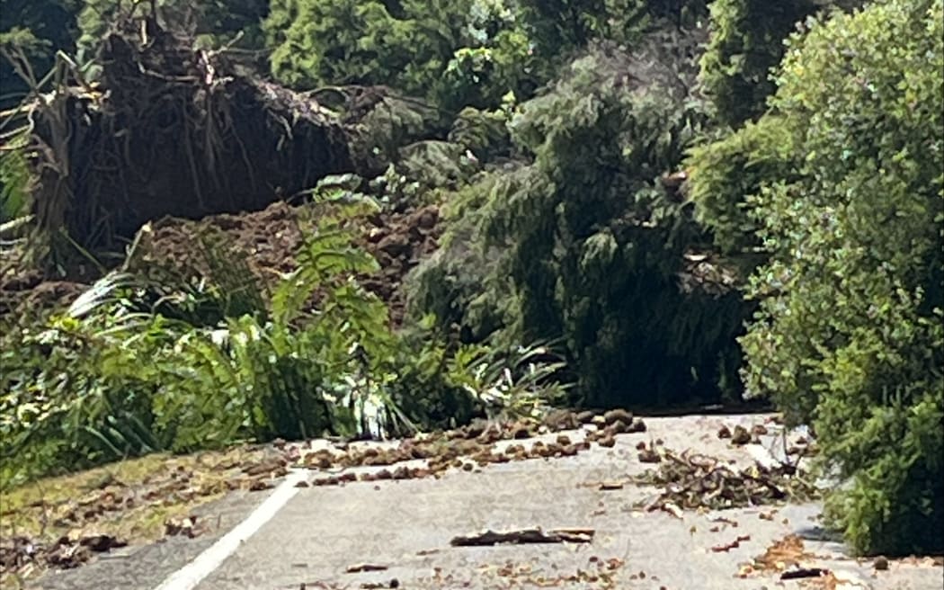 Slips across SH35 above Hicks Bay Motor Lodge.
