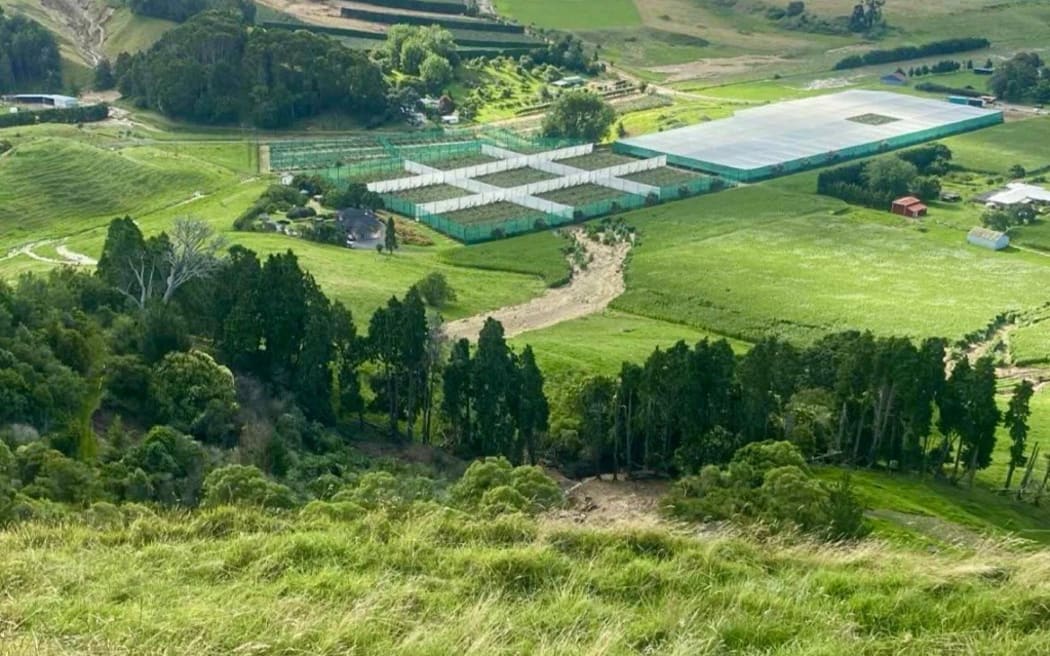 An aerial photo of Welcome Bay Road where a landslide came down a house leaving two people dead.