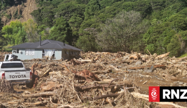 Greens call for Civil Defence payments to be activated for storm-hit communities