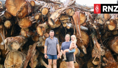 150,000 tonnes of fallen trees, $1m council costs: Clutha cleanup continues