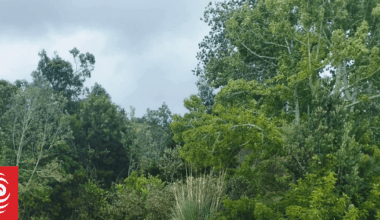 Storm-hit areas brace for another round of wind, heavy rain watches for south