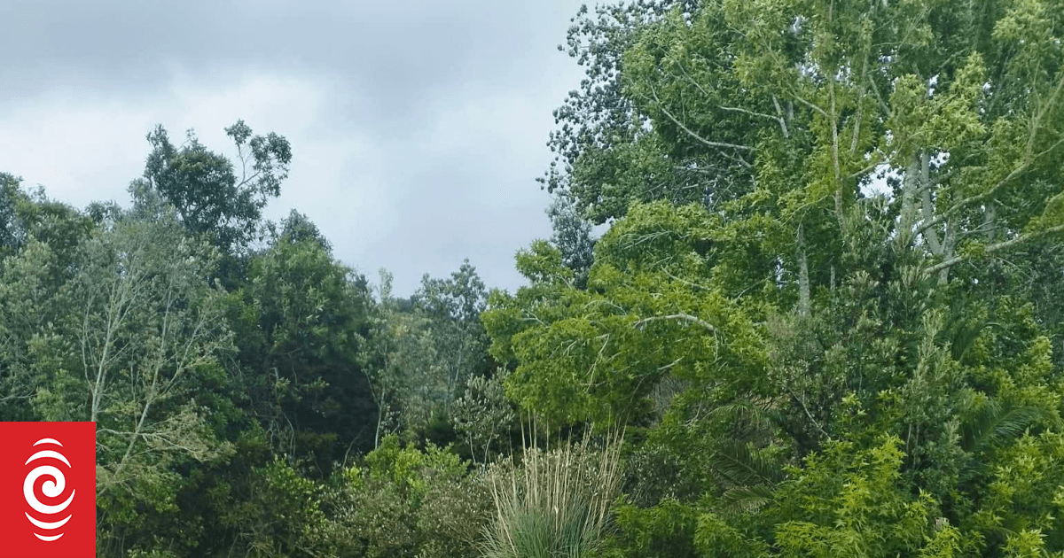 Storm-hit areas brace for another round of wind, heavy rain watches for south