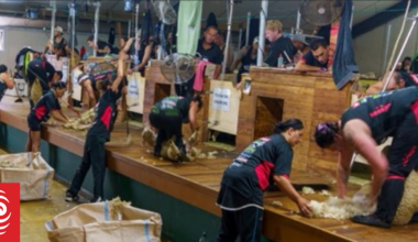 New world record in South Otago blazes trail for more female shearers