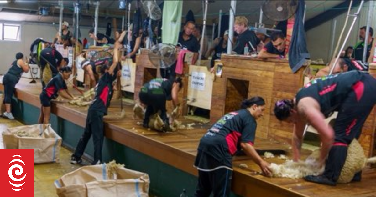 New world record in South Otago blazes trail for more female shearers