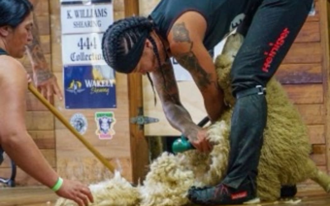 Rose Lewis, Ariana 'Missy' Te Whata, Te Atakura Crawford and Pagan Rimene set the four-stand women's eight-hours strongwool lamb record yesterday, shearing 1938 lambs at Melrose Station, near Owaka.