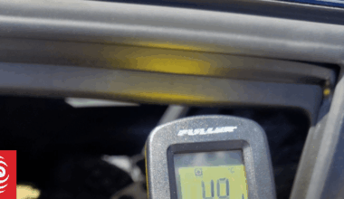 Dog rescued from car in Christchurch as temperature inside passes 49C