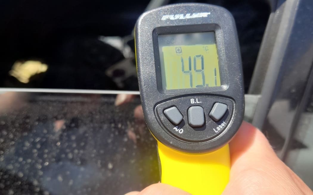 A dog has been rescued from a hot car that had an internal temperature of more than 49C.