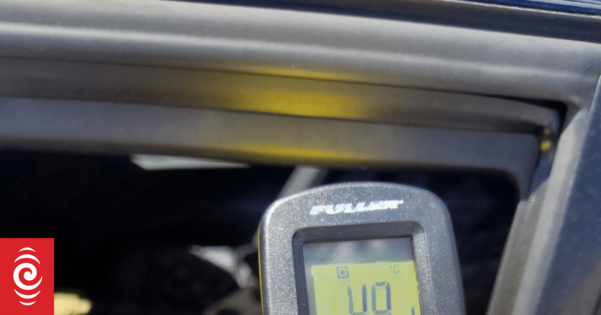 Dog rescued from car in Christchurch as temperature inside passes 49C