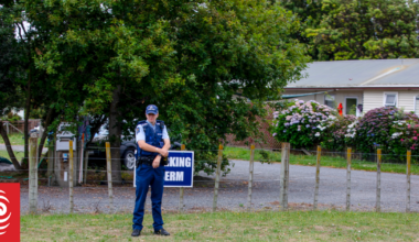 Police seized gun from family's home hours before fatal Waitārere Beach shooting