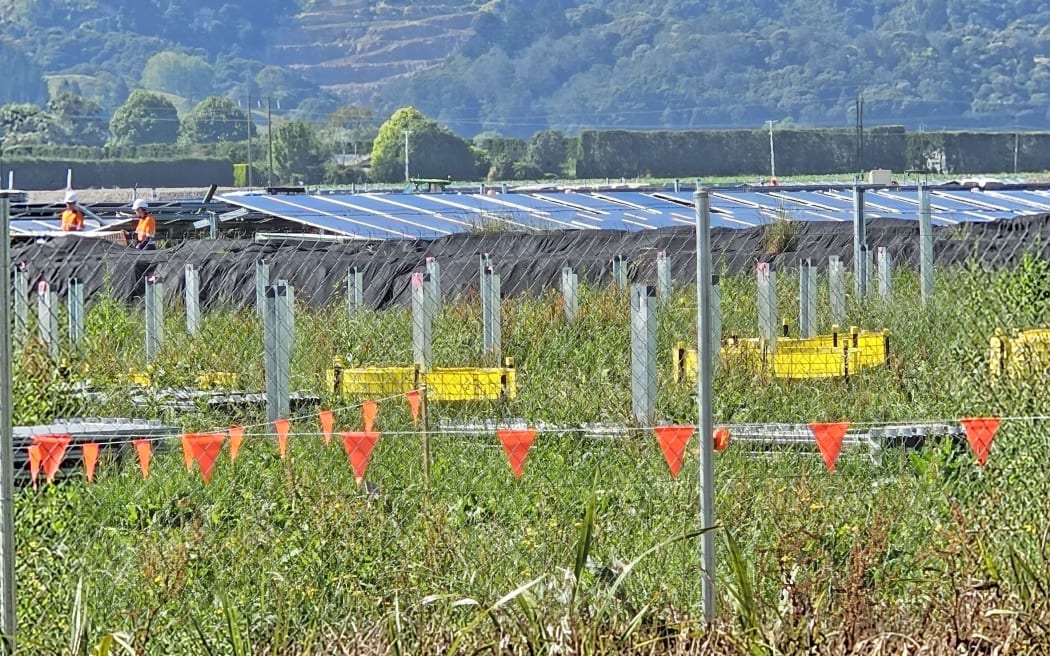 Work taking place on the new solar farm between Western Drain Road and Putiki Road, as seen from Putiki Road.