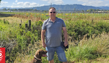 Residents say solar farm fell short on native plantings