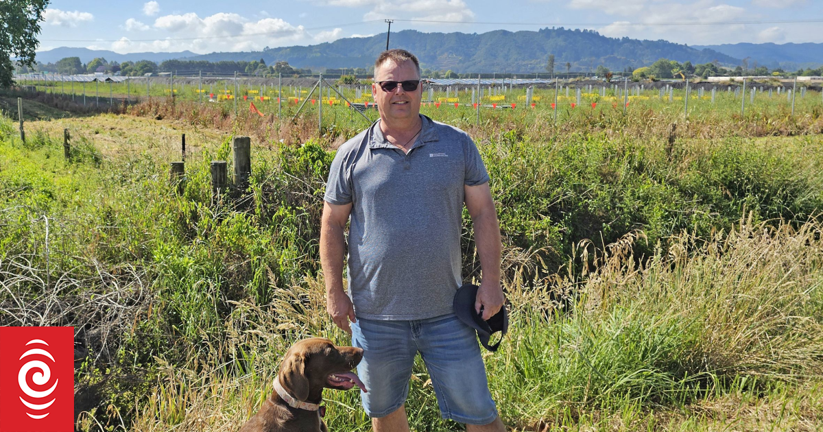 Residents say solar farm fell short on native plantings