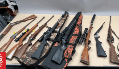 Firearms seizures in 2025: What they tell us about gun trends in NZ