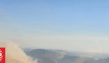 Fire burns through 22 hectares of native bush and pine forest in Hawke's Bay