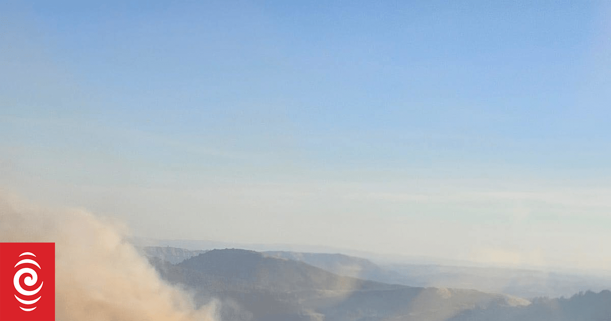 Fire burns through 22 hectares of native bush and pine forest in Hawke's Bay