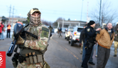 What exactly are American ICE agents and what can they do?