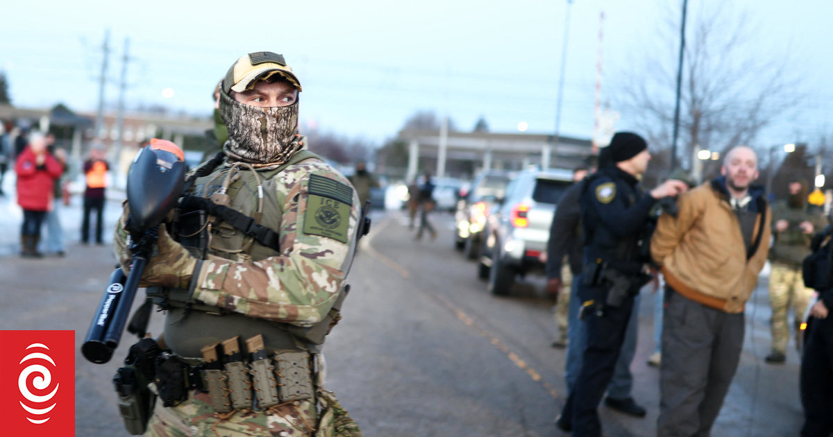 What exactly are American ICE agents and what can they do?