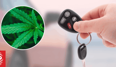 Failed drug test among vehicle policy breaches as Rotorua Council pushes for greener fleet