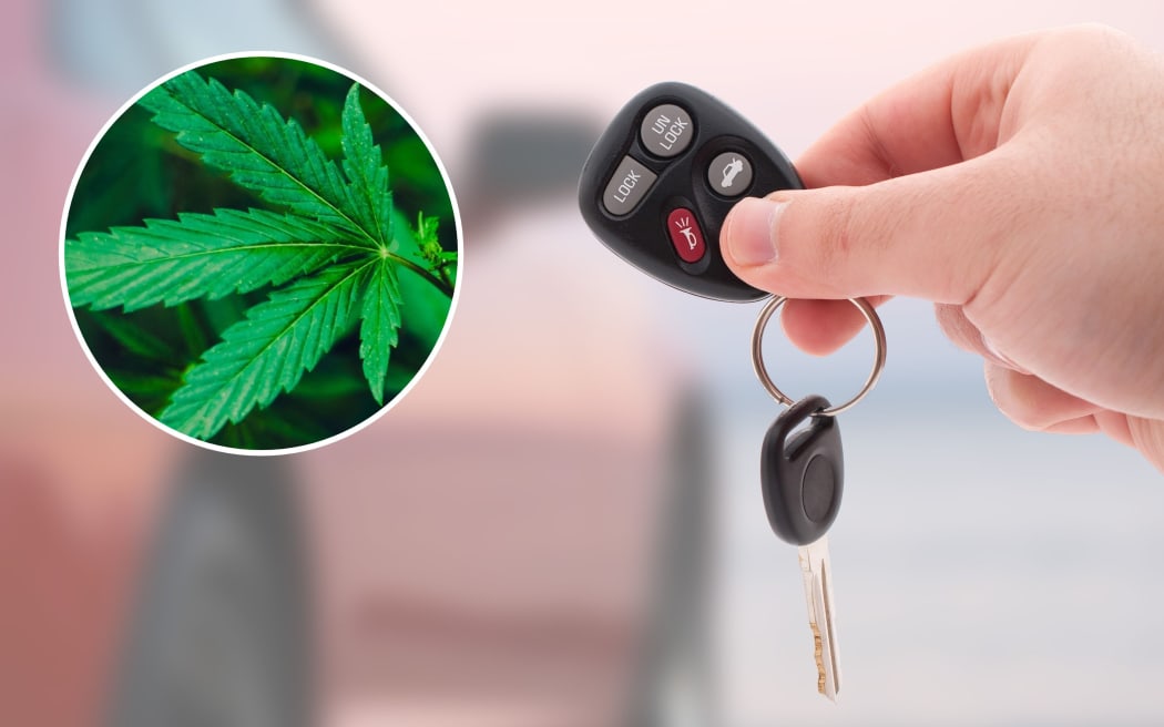 A Rotorua Lakes Council employee failed a drug test after a vehicle incident.