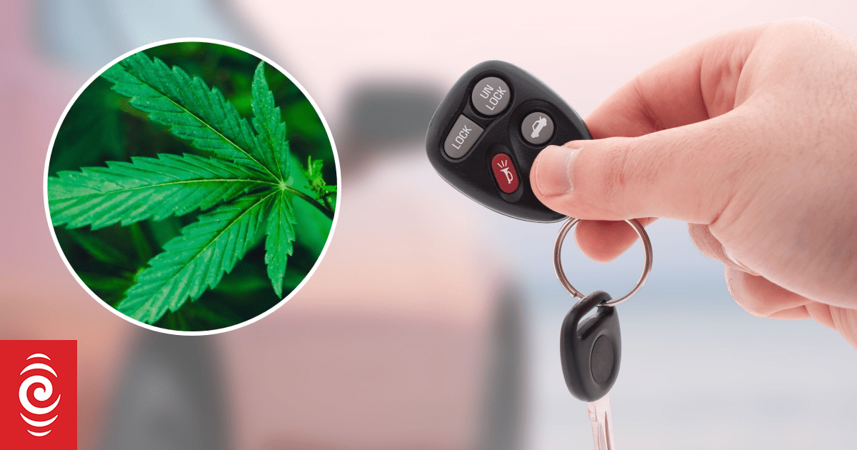 Failed drug test among vehicle policy breaches as Rotorua Council pushes for greener fleet